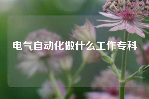 电气自动化做什么工作专科