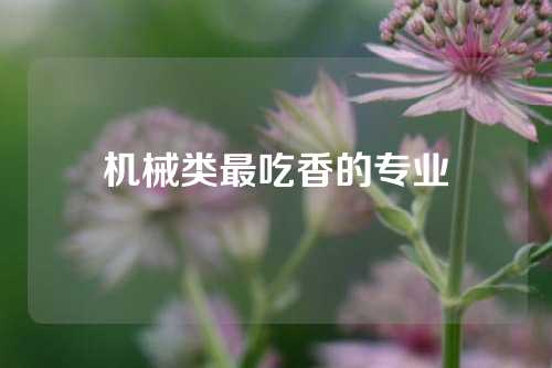 机械类最吃香的专业