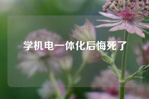 学机电一体化后悔死了