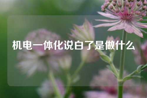 机电一体化说白了是做什么