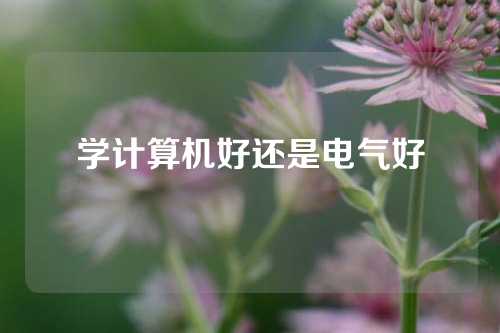 学计算机好还是电气好