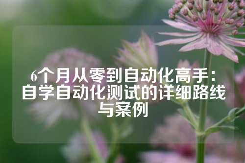 6个月从零到自动化高手：自学自动化测试的详细路线与案例