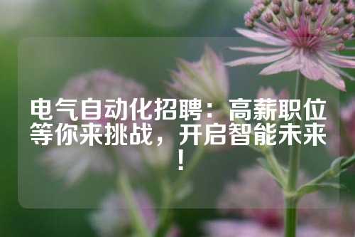 电气自动化招聘：高薪职位等你来挑战，开启智能未来！
