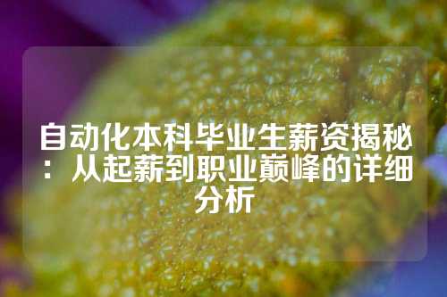 自动化本科毕业生薪资揭秘：从起薪到职业巅峰的详细分析