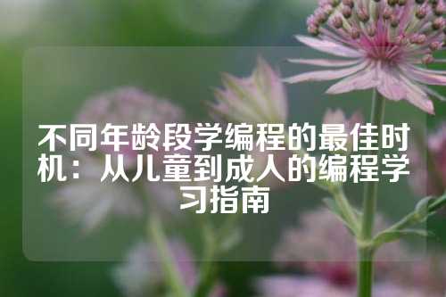 不同年龄段学编程的最佳时机：从儿童到成人的编程学习指南