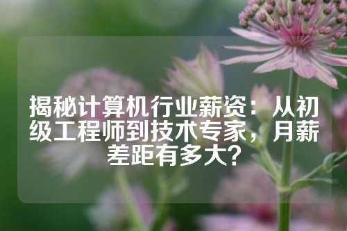 揭秘计算机行业薪资：从初级工程师到技术专家，月薪差距有多大？