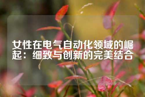 女性在电气自动化领域的崛起：细致与创新的完美结合
