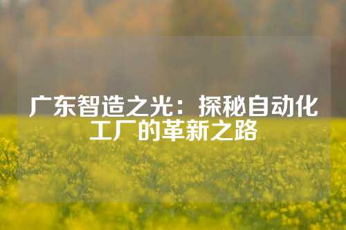 广东智造之光：探秘自动化工厂的革新之路