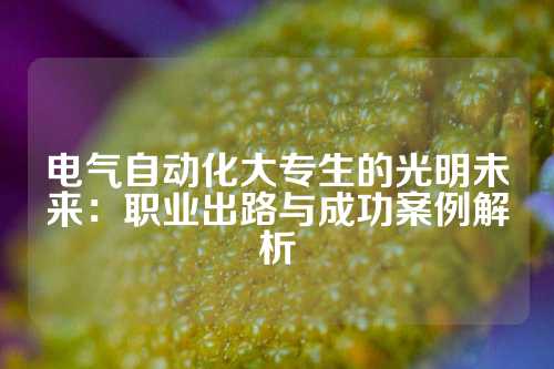 电气自动化大专生的光明未来：职业出路与成功案例解析