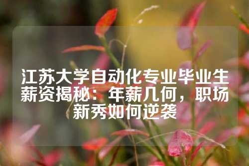 江苏大学自动化专业毕业生薪资揭秘：年薪几何，职场新秀如何逆袭