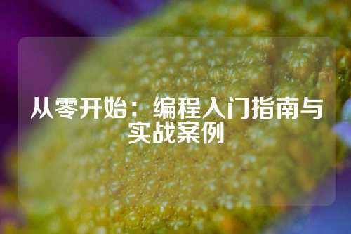从零开始：编程入门指南与实战案例