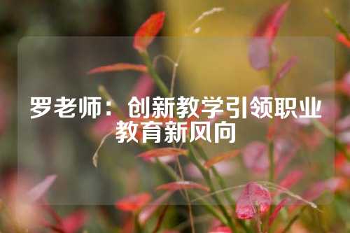 罗老师：创新教学引领职业教育新风向