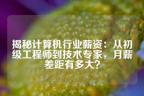 揭秘计算机行业薪资：从初级工程师到技术专家，月薪差距有多大？