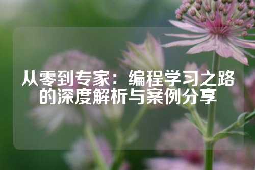从零到专家：编程学习之路的深度解析与案例分享