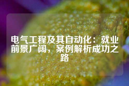 电气工程及其自动化：就业前景广阔，案例解析成功之路
