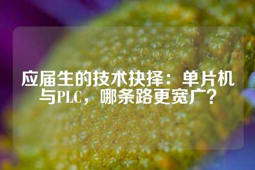 应届生的技术抉择：单片机与PLC，哪条路更宽广？