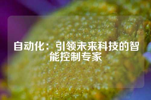 自动化：引领未来科技的智能控制专家