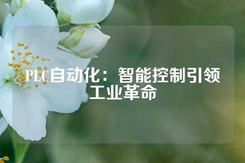 PLC自动化：智能控制引领工业革命