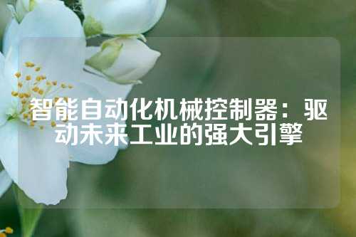 智能自动化机械控制器：驱动未来工业的强大引擎