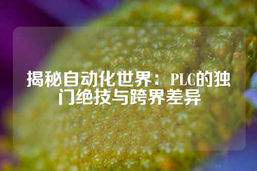 揭秘自动化世界：PLC的独门绝技与跨界差异
