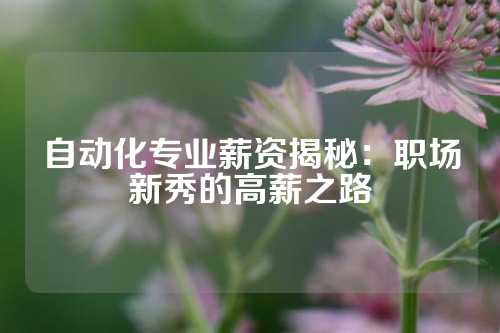 自动化专业薪资揭秘：职场新秀的高薪之路