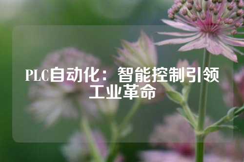 PLC自动化：智能控制引领工业革命