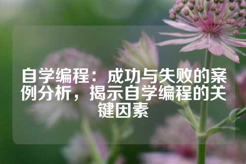 自学编程：成功与失败的案例分析，揭示自学编程的关键因素