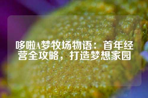 哆啦A梦牧场物语：首年经营全攻略，打造梦想家园