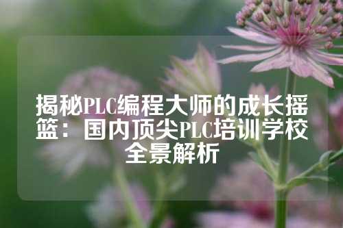 揭秘PLC编程大师的成长摇篮：国内顶尖PLC培训学校全景解析