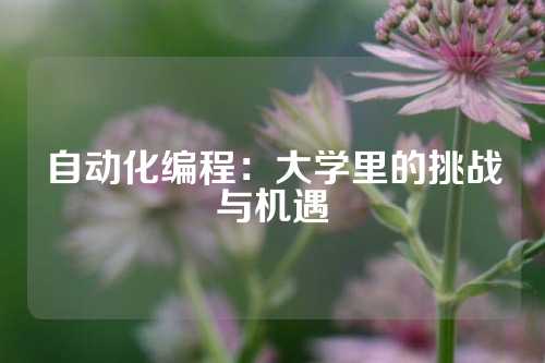 自动化编程：大学里的挑战与机遇