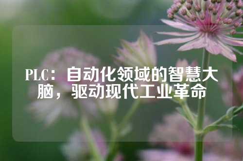 PLC：自动化领域的智慧大脑，驱动现代工业革命