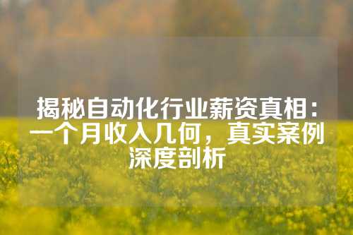 揭秘自动化行业薪资真相：一个月收入几何，真实案例深度剖析