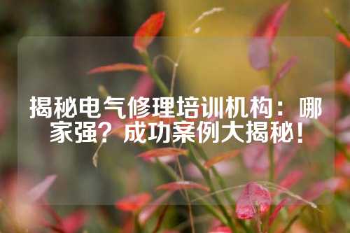 揭秘电气修理培训机构：哪家强？成功案例大揭秘！