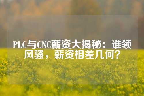 PLC与CNC薪资大揭秘：谁领风骚，薪资相差几何？