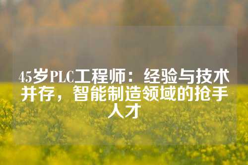 45岁PLC工程师：经验与技术并存，智能制造领域的抢手人才