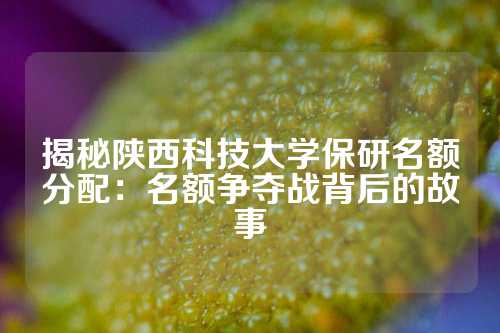 揭秘陕西科技大学保研名额分配：名额争夺战背后的故事