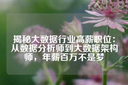 揭秘大数据行业高薪职位：从数据分析师到大数据架构师，年薪百万不是梦