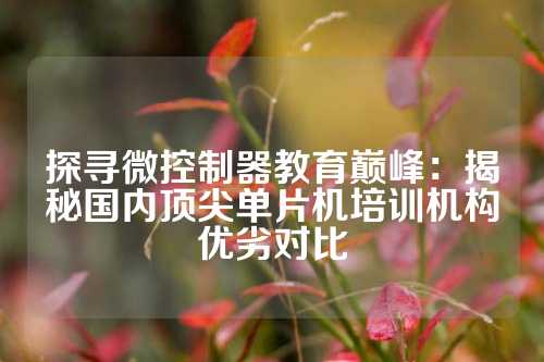 探寻微控制器教育巅峰：揭秘国内顶尖单片机培训机构优劣对比