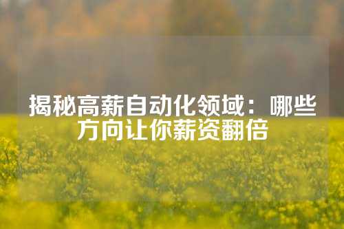 揭秘高薪自动化领域：哪些方向让你薪资翻倍