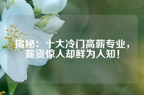 揭秘:十大冷门高薪专业,薪资惊人却鲜为人知!