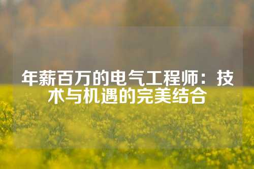 年薪百万的电气工程师：技术与机遇的完美结合