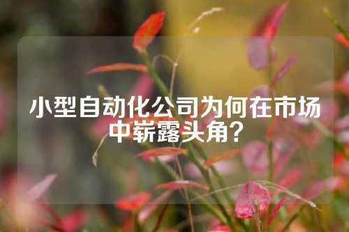 小型自动化公司为何在市场中崭露头角？