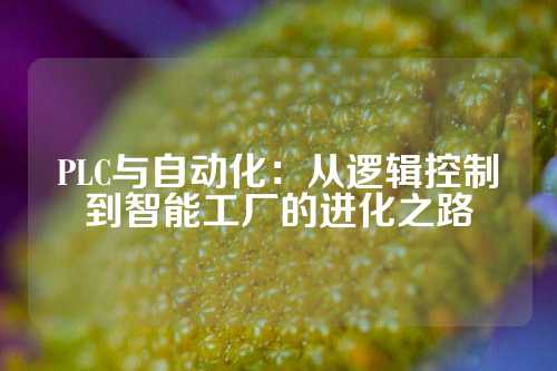 PLC与自动化：从逻辑控制到智能工厂的进化之路