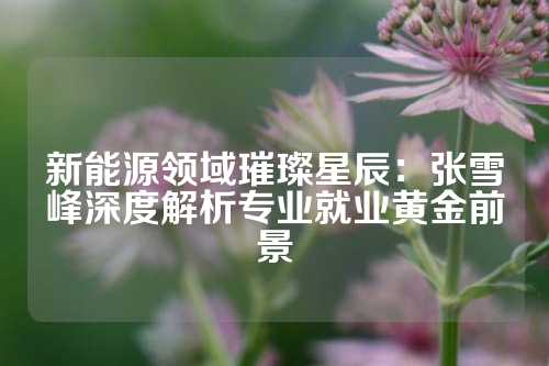 新能源领域璀璨星辰：张雪峰深度解析专业就业黄金前景
