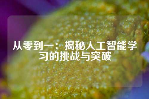 从零到一：揭秘人工智能学习的挑战与突破