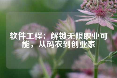 软件工程：解锁无限职业可能，从码农到创业家