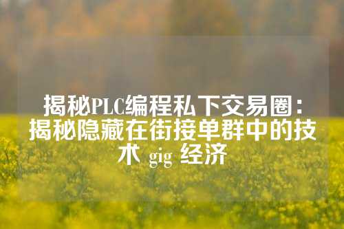 揭秘PLC编程私下交易圈：揭秘隐藏在街接单群中的技术 gig 经济
